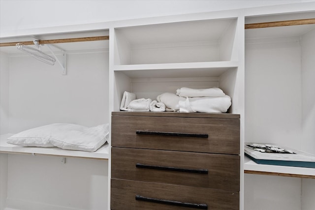 1314 Briar Cliff St, Conroe, TX 77385 - view of walk in closet
