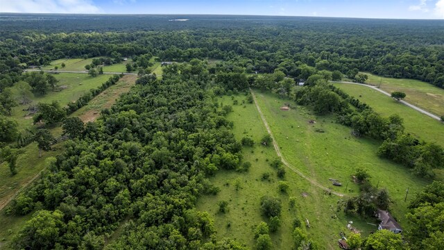 6202 County Road 42, Rosharon, TX 77583 - photo 4