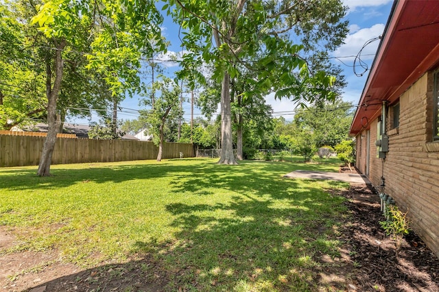 5839 Ettrick Dr, Houston, TX 77035 - view of yard