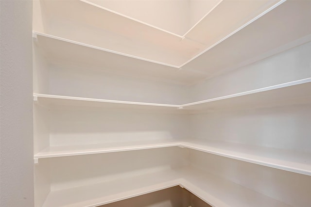 18306 S Austin Shore Dr, Cypress, TX 77433 - view of pantry