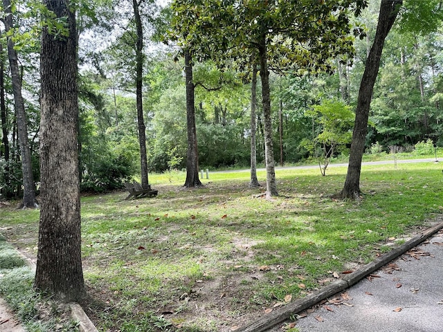 202 Spring Creek Loop, Livingston, TX 77351 - view of green lawn