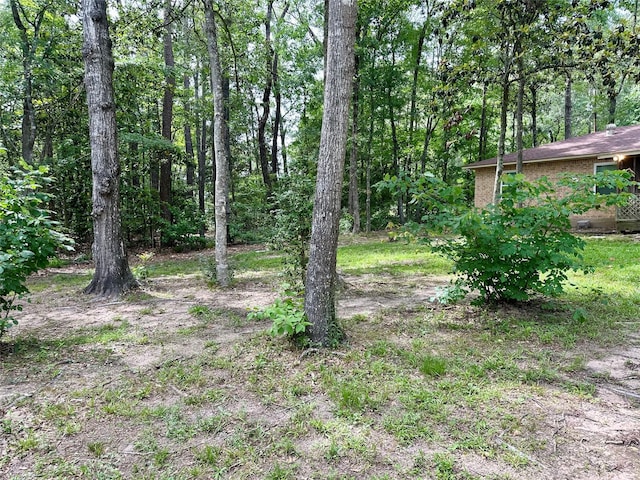 202 Spring Creek Loop, Livingston, TX 77351 - view of yard