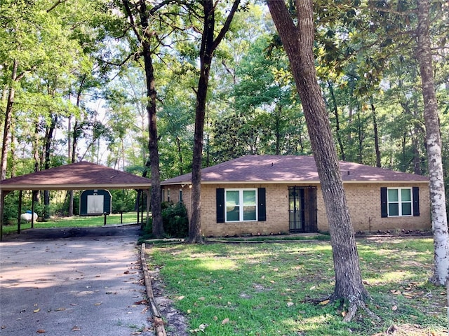 202 Spring Creek Loop, Livingston, TX 77351 - ranch-style house with a detached carport, a storage shed, driveway, brick siding, and an outbuilding