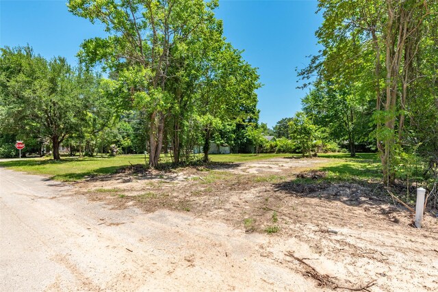 705 S Holly Ave, Cleveland, TX 77327 - photo 2