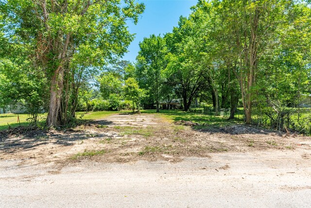 705 S Holly Ave, Cleveland, TX 77327 - photo 3