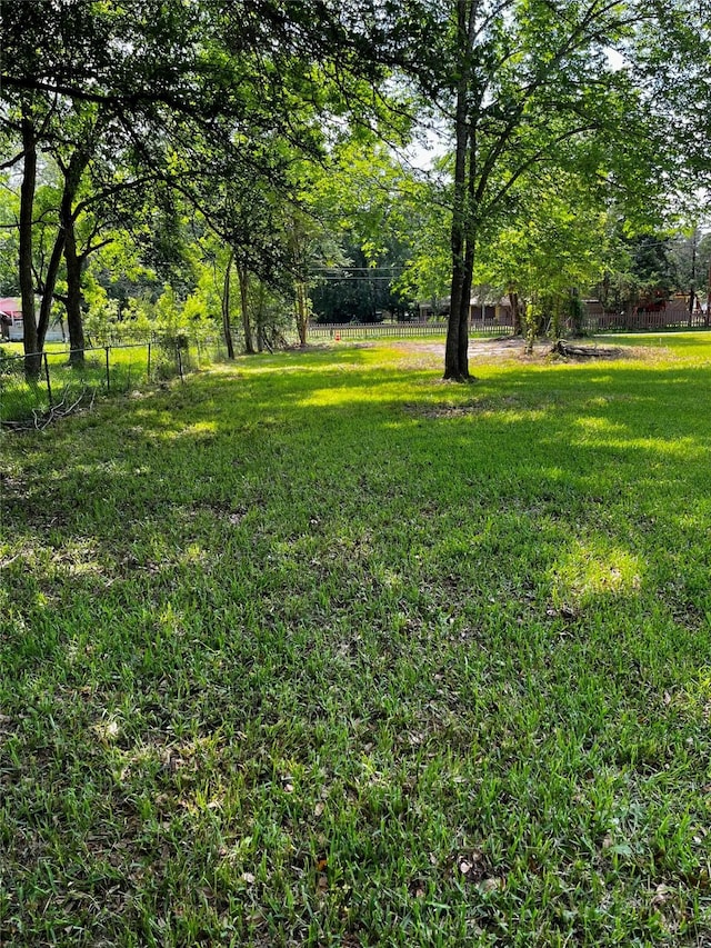 705 S Holly Ave, Cleveland, TX 77327 - photo 6