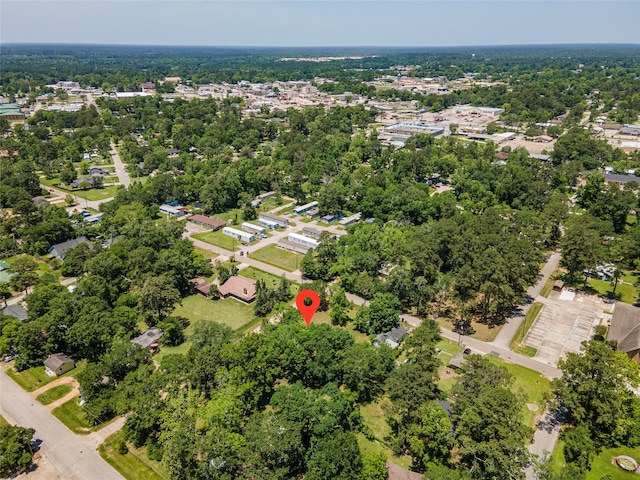 705 S Holly Ave, Cleveland, TX 77327 - photo 10