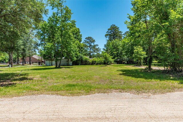 703 S Holly Ave, Cleveland, TX 77327 - photo 1