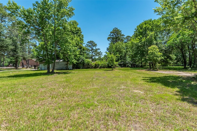 703 S Holly Ave, Cleveland, TX 77327 - photo 2