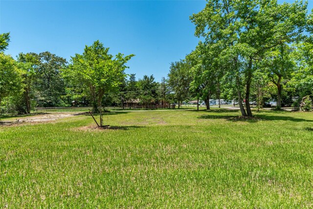 703 S Holly Ave, Cleveland, TX 77327 - photo 3