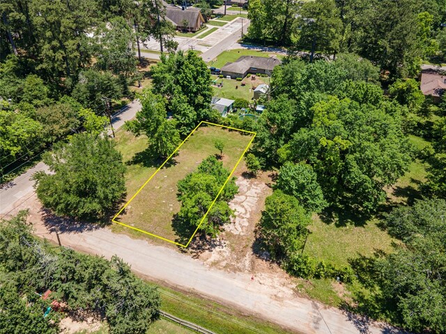 703 S Holly Ave, Cleveland, TX 77327 - photo 5