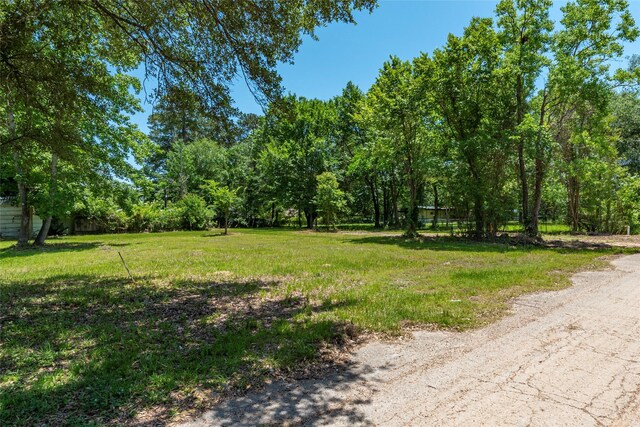 703 S Holly Ave, Cleveland, TX 77327 - photo 7