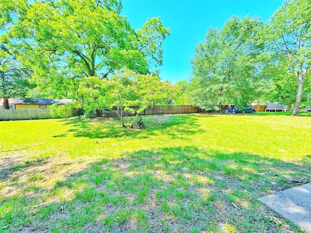 803 Wolley Cir, Crockett, TX 75835 - view of yard