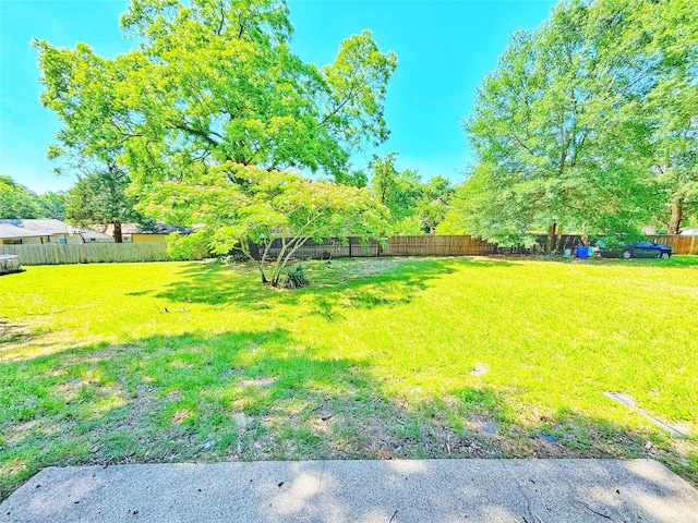 803 Wolley Cir, Crockett, TX 75835 - view of yard
