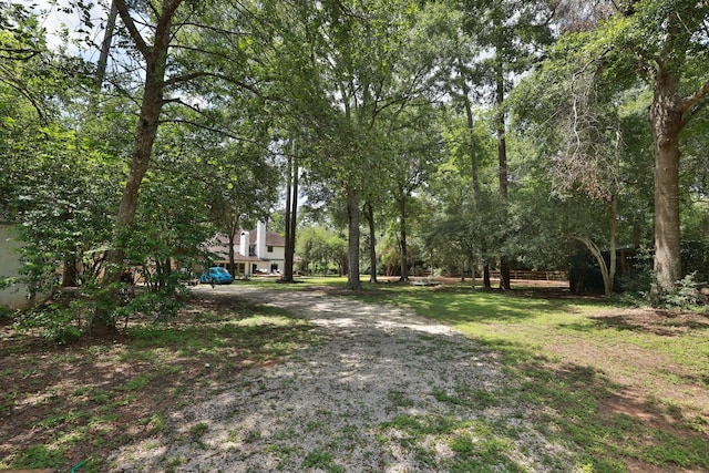 23025 Jane Rd, Tomball, TX 77377 - view of yard