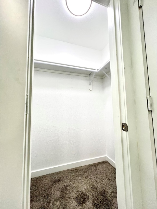 803 Hackberry St, Stafford, TX 77477 - walk in closet with carpet flooring