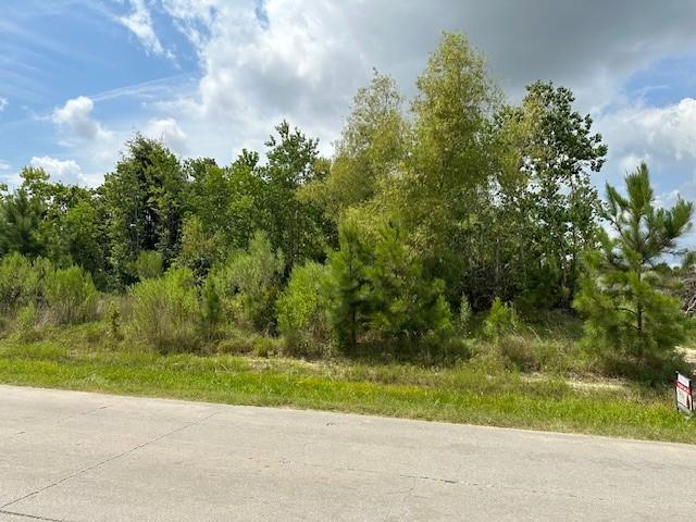 566 County Road 5021, Cleveland, TX 77327