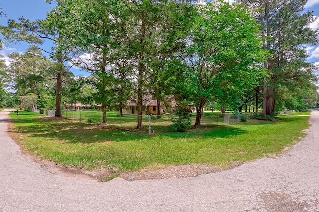 25458 Camelot Ln, Hockley, TX 77447 - photo 44