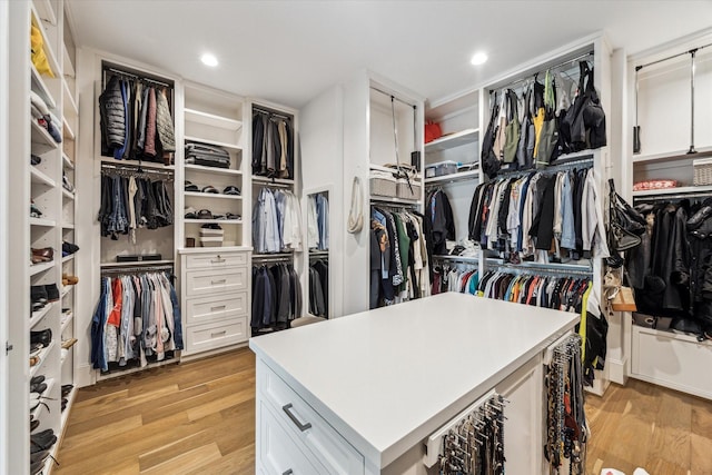 2224 N Blvd, Houston, TX 77098 - walk in closet featuring light wood-style flooring