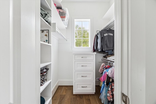 2224 N Blvd, Houston, TX 77098 - walk in closet with dark wood-type flooring