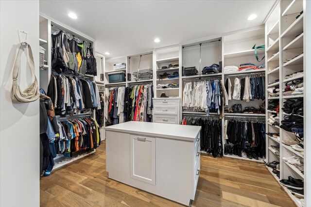 2224 N Blvd, Houston, TX 77098 - spacious closet with light wood-style flooring