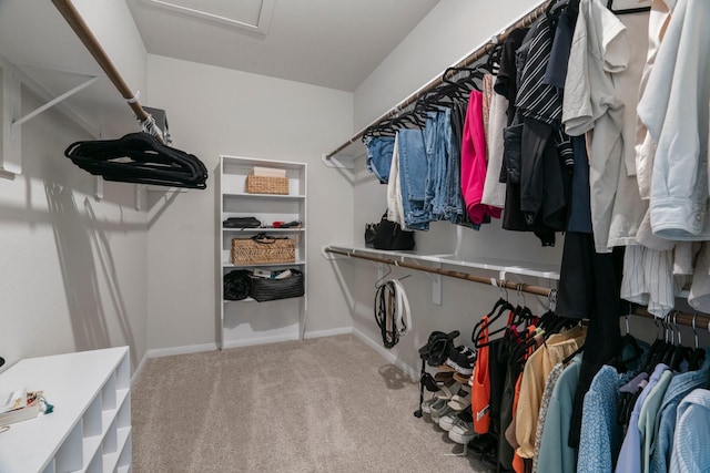 13110 Mid Stocket Dr, Humble, TX 77346 - spacious closet featuring carpet flooring and attic access