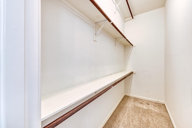 1114 Ridgeburg Ct, Houston, TX 77077 - spacious closet with light colored carpet