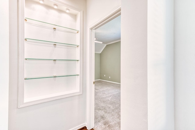 1114 Ridgeburg Ct, Houston, TX 77077 - corridor with ornamental molding, carpet, and baseboards