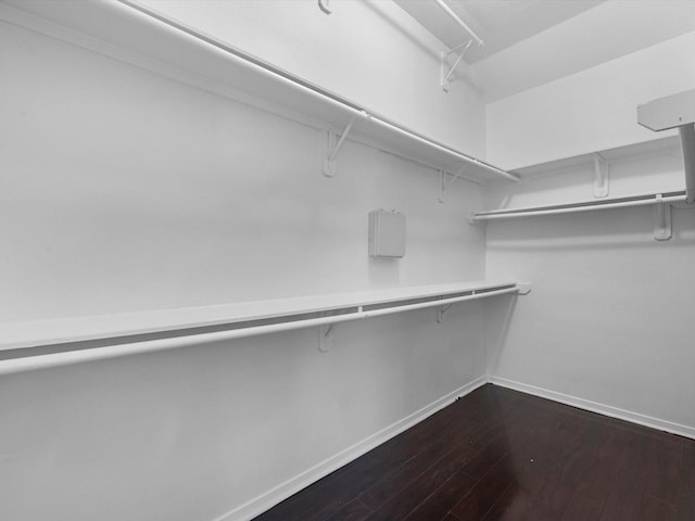 126 Oryan Ct, Houston, TX 77015 - walk in closet featuring dark wood-style flooring