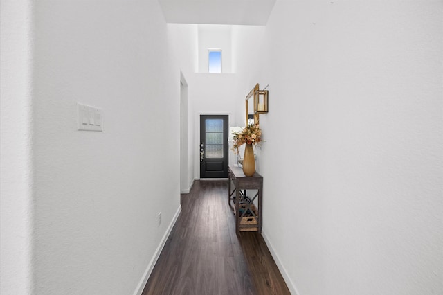 13215 Rowan Green Dr, Humble, TX 77346 - hallway with plenty of natural light, dark wood finished floors, baseboards, and a high ceiling