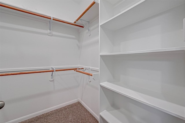 21622 Sage Landing Ln, Katy, TX 77449 - walk in closet featuring carpet floors