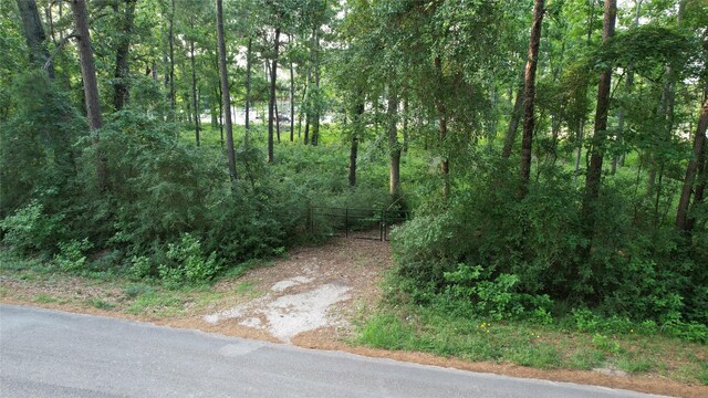 28102 Nichols Sawmill Rd, Magnolia, TX 77355 - photo 4
