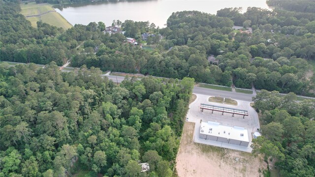 28102 Nichols Sawmill Rd, Magnolia, TX 77355 - photo 14