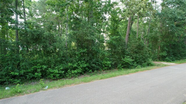 28102 Nichols Sawmill Rd, Magnolia, TX 77355 - photo 17