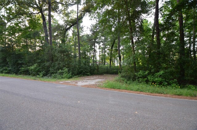 28102 Nichols Sawmill Rd, Magnolia, TX 77355 - photo 18