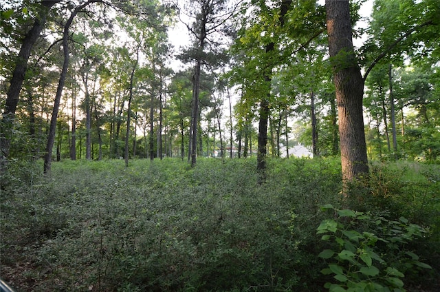 28102 Nichols Sawmill Rd, Magnolia, TX 77355 - photo 22
