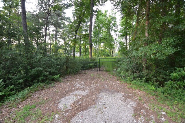 28102 Nichols Sawmill Rd, Magnolia, TX 77355 - photo 23