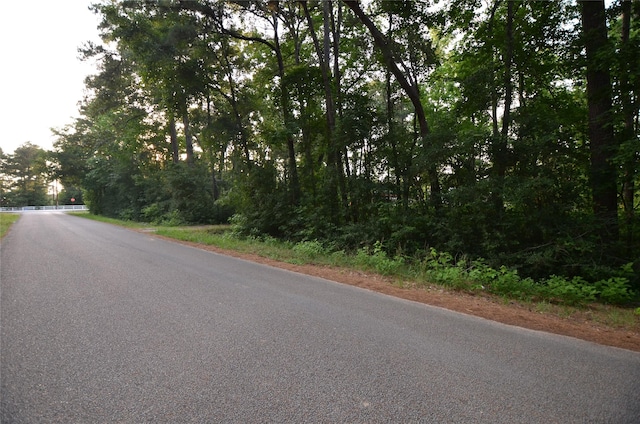 28102 Nichols Sawmill Rd, Magnolia, TX 77355 - photo 24