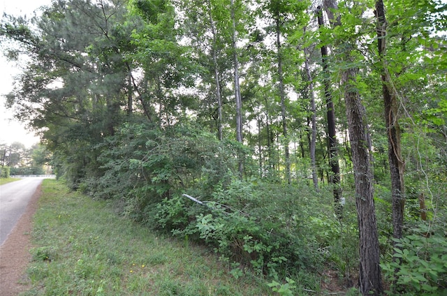 28102 Nichols Sawmill Rd, Magnolia, TX 77355 - photo 25