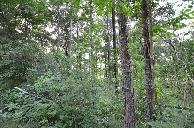 28102 Nichols Sawmill Rd, Magnolia, TX 77355 - photo 26