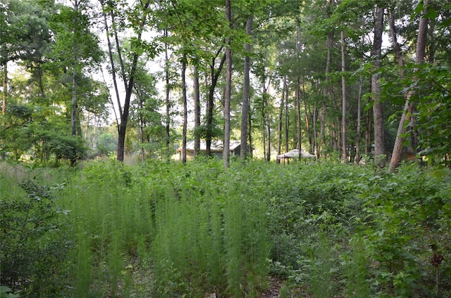 28102 Nichols Sawmill Rd, Magnolia, TX 77355 - photo 27