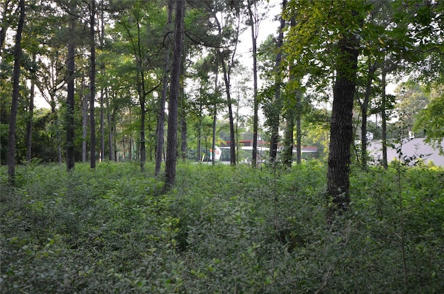 28102 Nichols Sawmill Rd, Magnolia, TX 77355 - photo 28