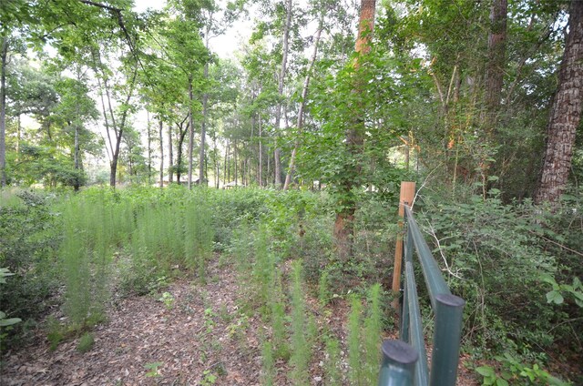 28102 Nichols Sawmill Rd, Magnolia, TX 77355 - photo 29