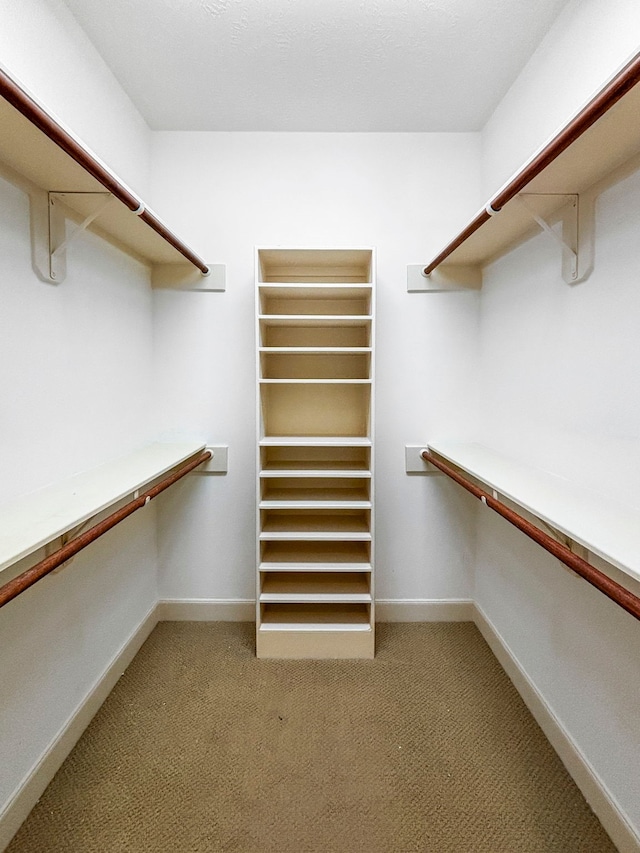 6230 Elm Heights Ln, Houston, TX 77081 - walk in closet with light carpet
