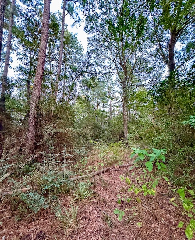 5 Hoke Rd, Richards, TX 77873