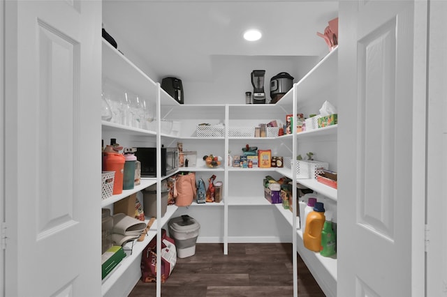 16419 Fox Crossing Ln, Spring, TX 77379 - view of pantry
