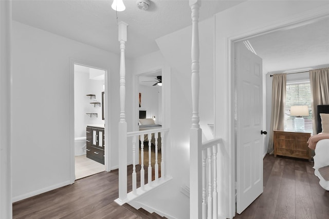 16419 Fox Crossing Ln, Spring, TX 77379 - hallway with dark wood finished floors