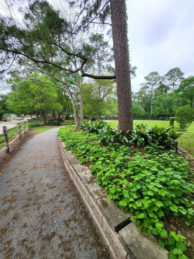 16419 Fox Crossing Ln, Spring, TX 77379 - view of yard