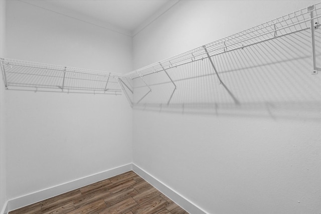 4358 Larkspur St, Houston, TX 77051 - walk in closet featuring dark wood-style floors
