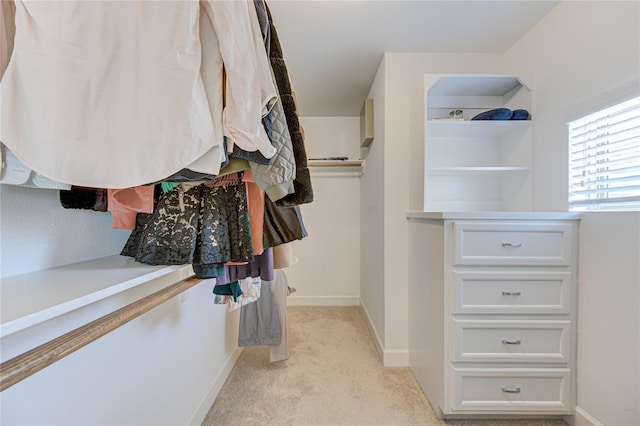11509 Main Ash, Houston, TX 77025 - spacious closet featuring light carpet
